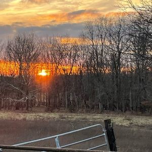 Meet your Posher, Kaitlyn